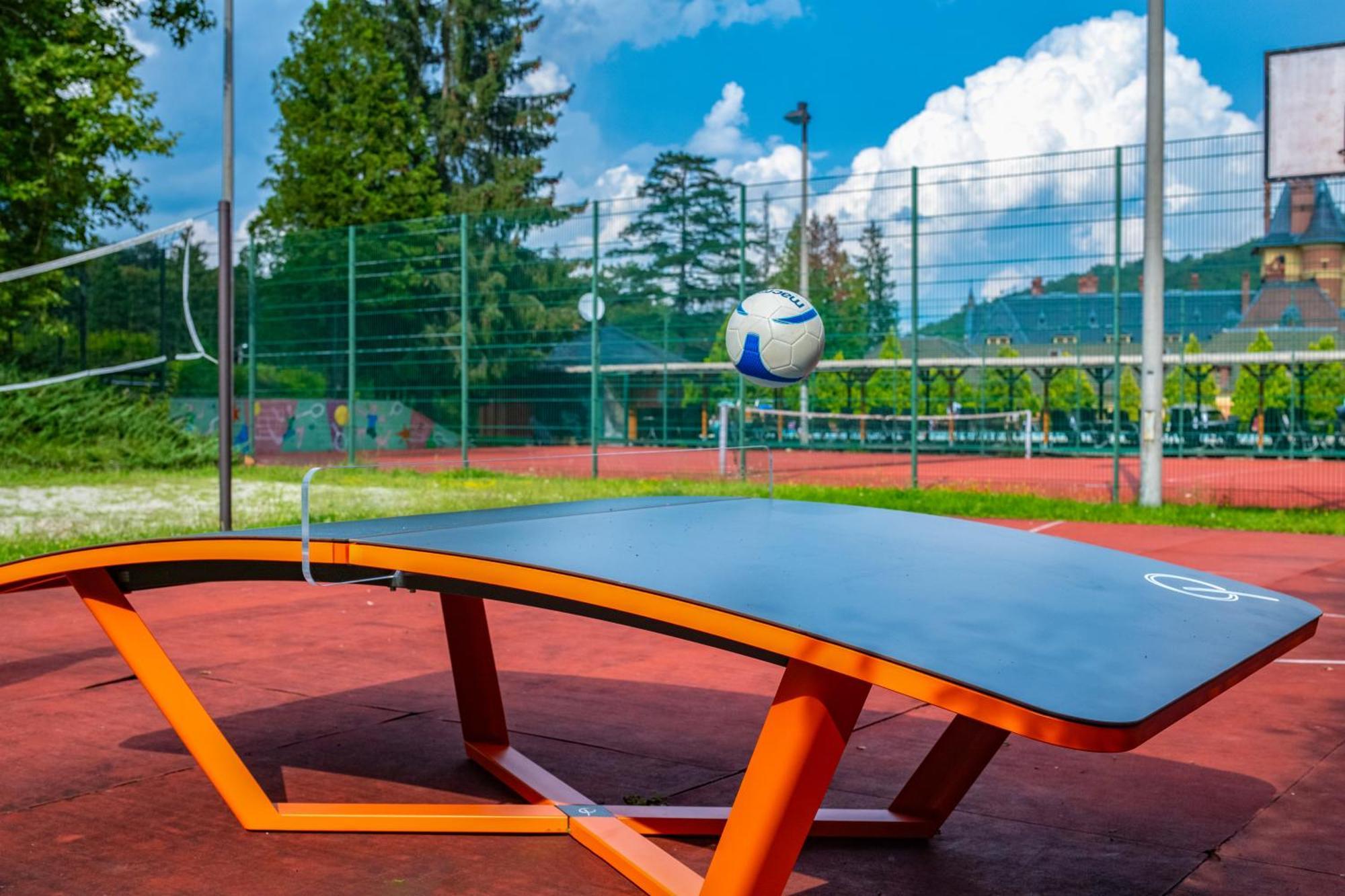 Kastelyhotel Sasvar Resort Parádsasvár エクステリア 写真
